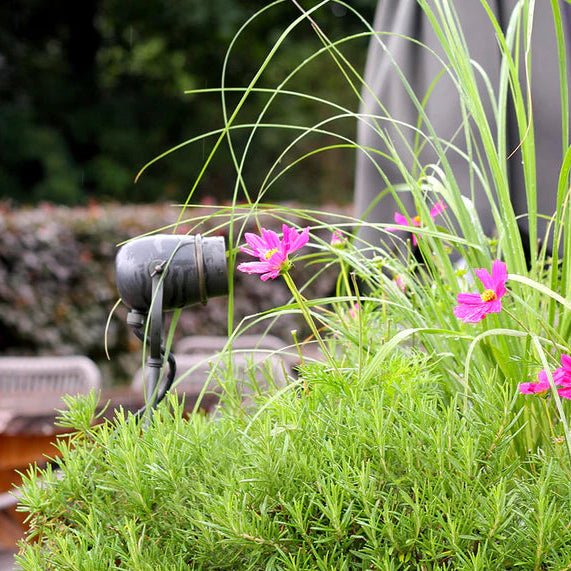 Luxury Outdoor Spike Spotlight | Decorative Garden Floor Light | High-Performance Weatherproof Outdoor Light | Authentage
